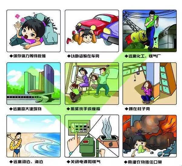 必赢网址生命安全科普研学展厅生命健康安全教育展厅健康科学展馆
