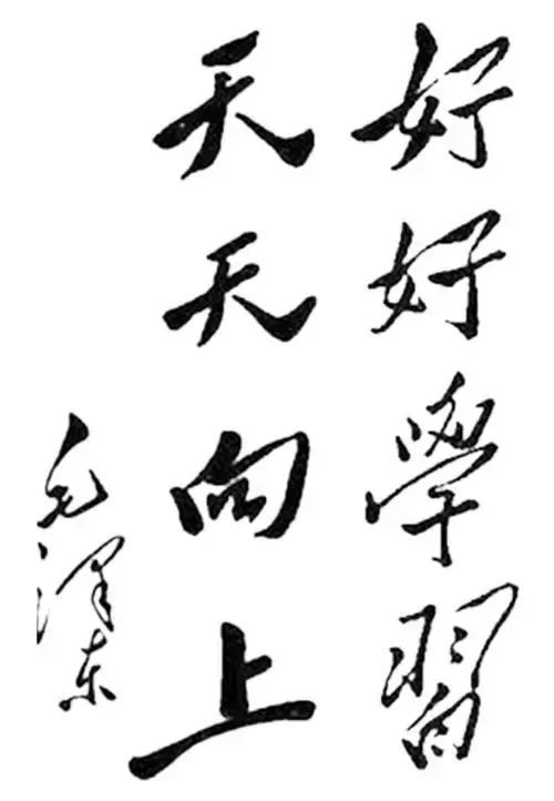 “好好学习天天向上”的由来(图3)