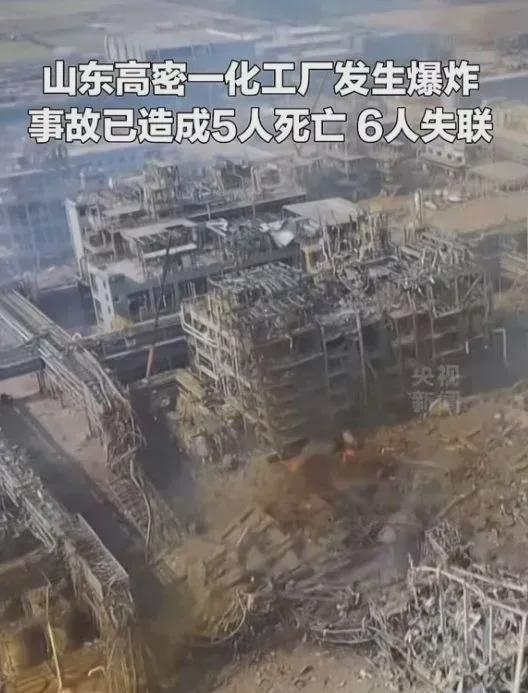 一声巨响引发全球农药供应危机？(图8)