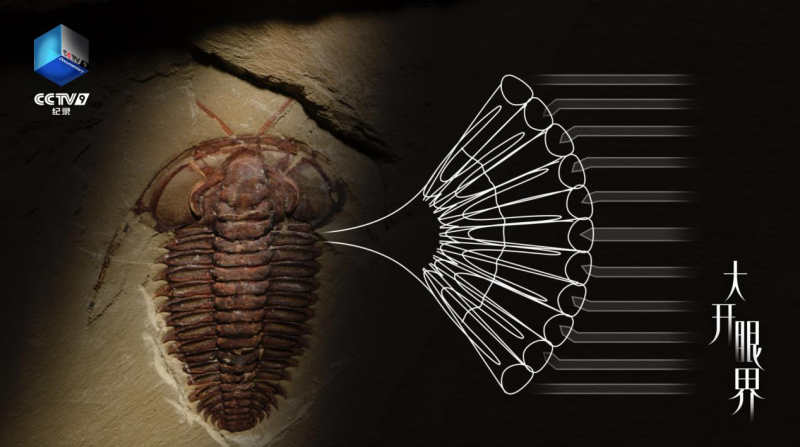 CCTV-9纪录片《大开眼界》：让眼睛真正被“看见”(图2)