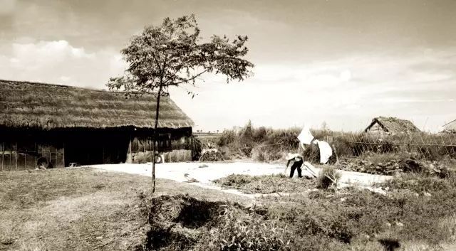 花2000元冤枉钱买了一勺盐浙江父子BWIN却靠它撑起一个千亿帝国(图1)