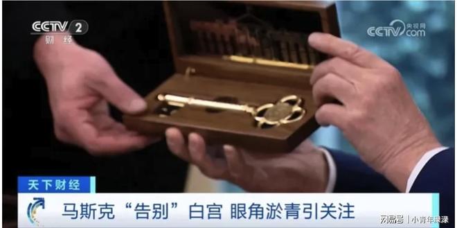 马斯克眼角带着淤青告别白宫! 本人回应！(图3)