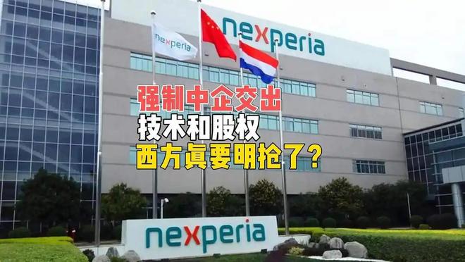 中国精准反击三天时间就让荷兰由笑变哭西方国家急得直跺脚！(图2)