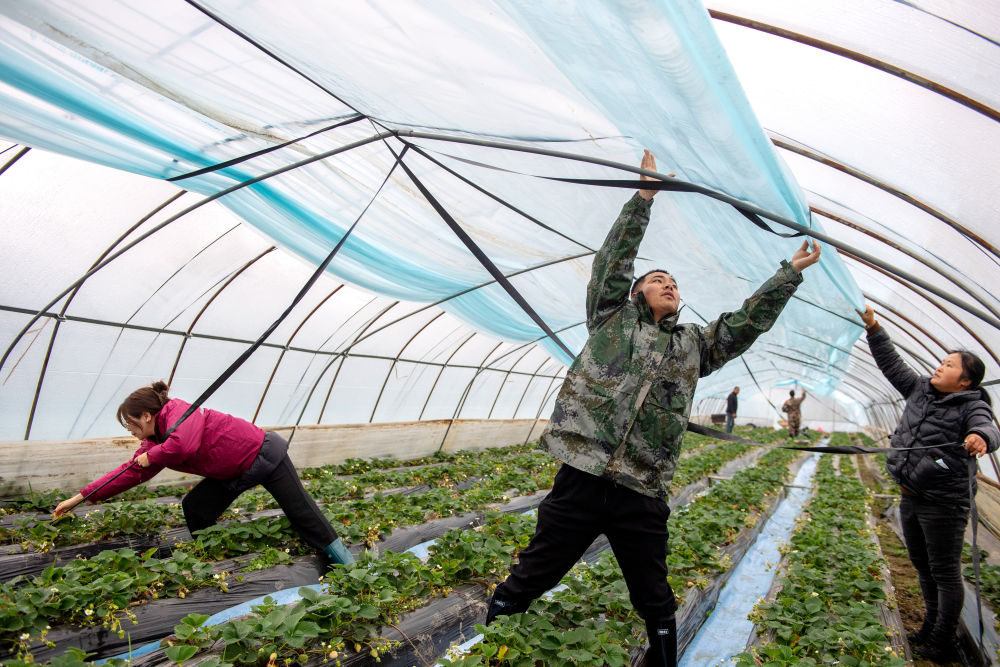 镜观·回响｜弘扬奉献、友爱、互助、进步的志愿精神(图12)