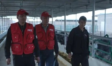 BWIN应急管理、科技创新、服务民生人保财险扎实护航高质量发展(图5)