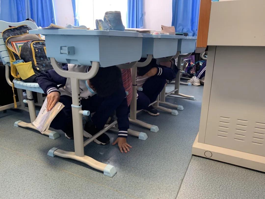 地震模拟演示实验箱(图1)