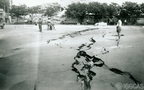 唐山大地震图片档案介绍(图16)